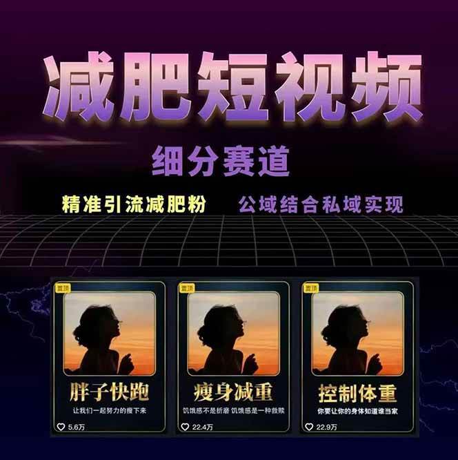 图片[2]-减肥短视频运营实战课：含素材制作、剪映教学，讲精准引流、变现设计与内容模板技巧-鑫梵淘