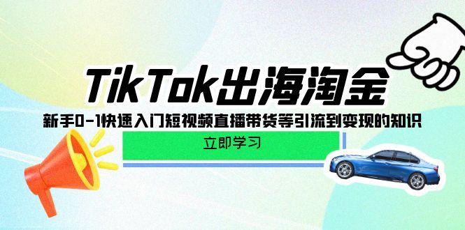 (10035期)TikTok-出海淘金，新手0-1快速入门短视频直播带货等引流到变现的知识-鑫梵淘
