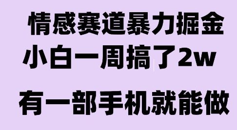 情感暴力掘金项目，新人操作一周挣了2W，长期稳定小白可做【揭秘】-鑫梵淘