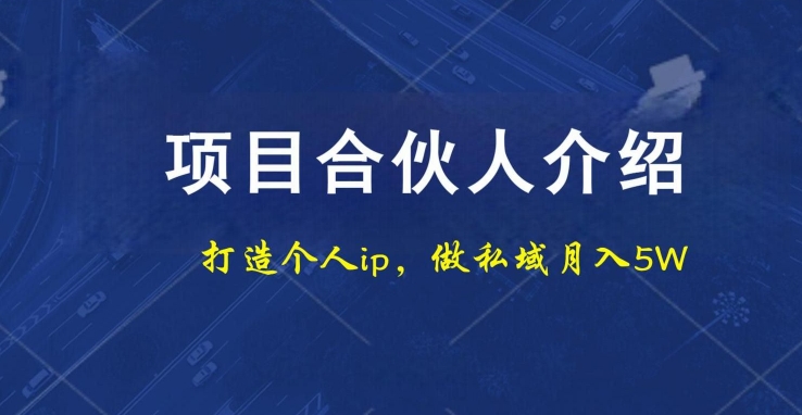 项目合伙人项目，打造个人IP，做私域月入5W，小白勿扰-鑫梵淘