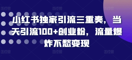 小红书独家引流三重奏，当天引流100+创业粉，流量爆炸不愁变现【揭秘】-鑫梵淘