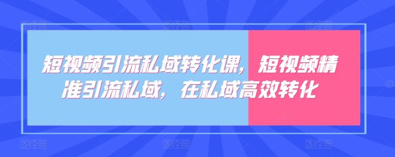 短视频引流私域转化课，短视频精准引流私域，在私域高效转化-鑫梵淘