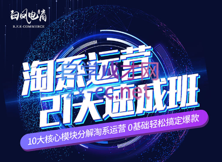 淘系运营21天速成班(更新7月)-鑫梵淘