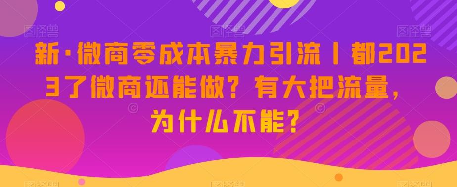 新·微商零成本暴力引流丨都2023了微商还能做？有大把流量，为什么不能？-鑫梵淘
