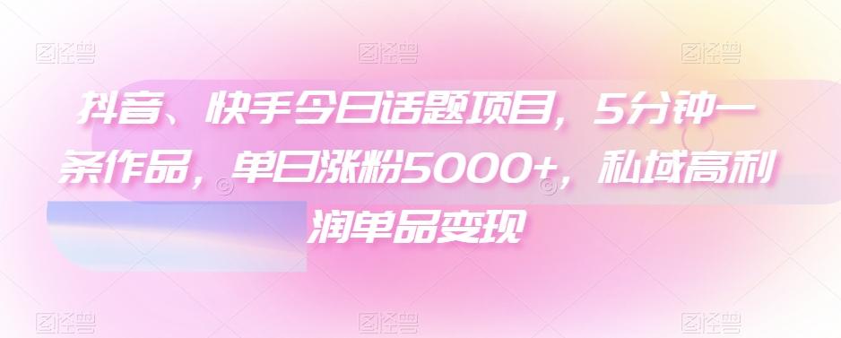 抖音、快手今日话题项目，5分钟一条作品，单日涨粉5000+，私域高利润单品变现-鑫梵淘
