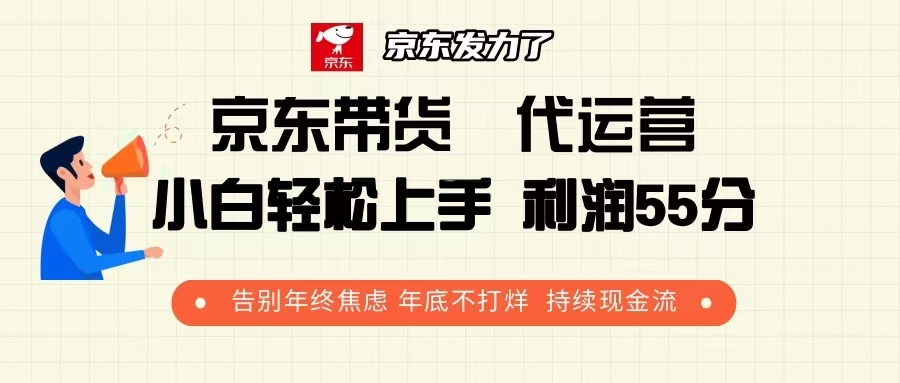 京东带货 代运营 利润55分 告别年终焦虑 年底不打烊 持续现金流-鑫梵淘
