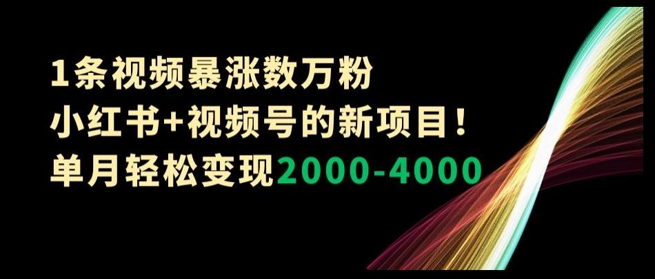 1条视频暴涨数万粉--小红书+视频号的新项目！单月轻松变现2000-4000【揭秘】-鑫梵淘