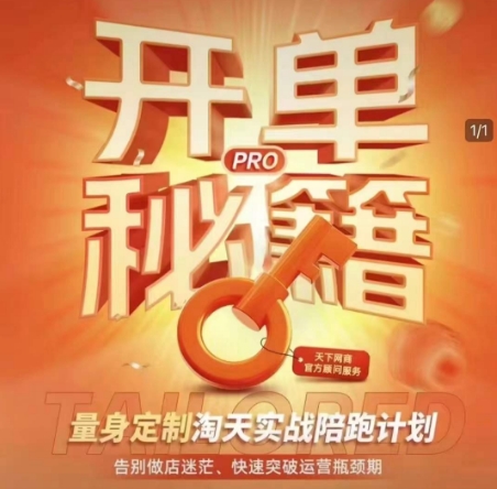 淘宝开单秘籍PRO，量身定制淘天实战陪跑计划，告别做店迷茫、快速突破运营瓶颈期(更新6月)-鑫梵淘