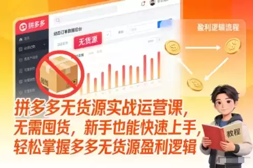 拼多多无货源实战运营课，无需囤货，新手也能快速上手，轻松掌握多多无货源盈利逻辑-鑫梵淘