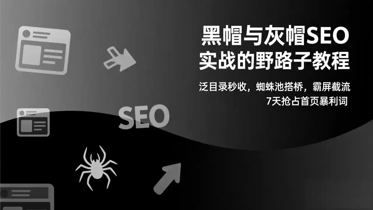 黑帽与灰帽SEO实战的野路子教程：泛目录秒收，蜘蛛池搭桥，霸屏截流，7天抢占首页暴利词-鑫梵淘