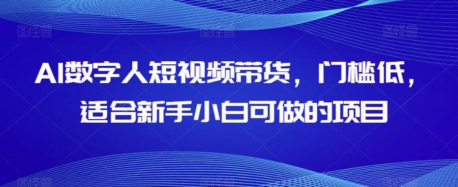 AI数字人短视频带货，门槛低，适合新手小白可做的项目-鑫梵淘