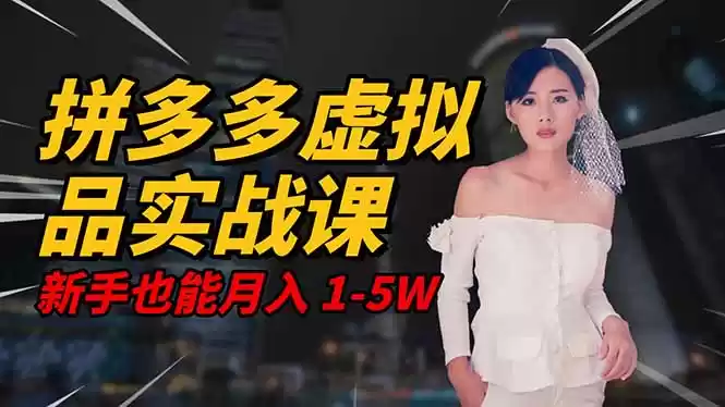 2025 拼多多虚拟品系统实战课，轻资产项目，可矩阵开工作室，新手也能…-鑫梵淘