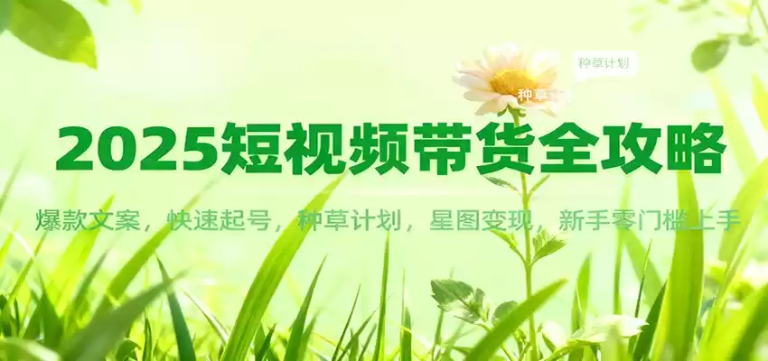 2025短视频带货全攻略：爆款文案，快速起号，种草计划，星图变现，新手零门槛上手-鑫梵淘