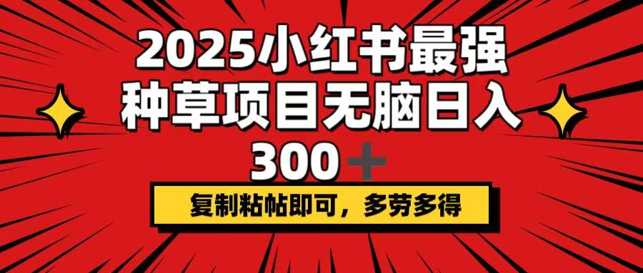 2025小红书最强种草项目，无脑日入300+，复制粘帖即可，多劳多得-鑫梵淘