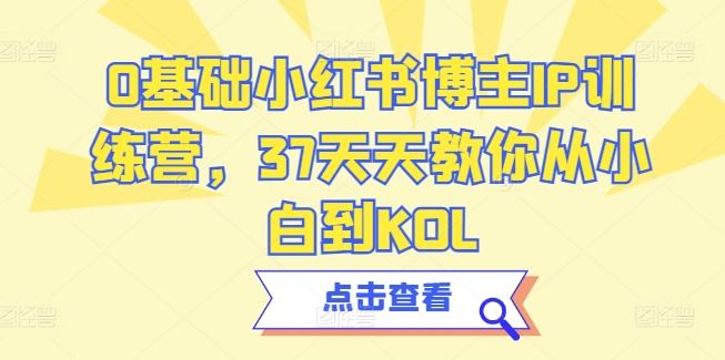 0基础小红书博主IP训练营，37天天教你从小白到KOL-鑫梵淘