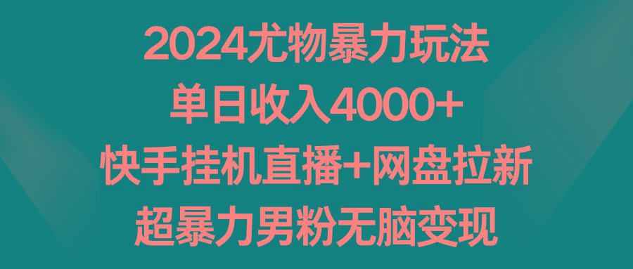 2024尤物暴力玩法 单日收入4000+快手挂机直播+网盘拉新 超暴力男粉无脑变现-鑫梵淘