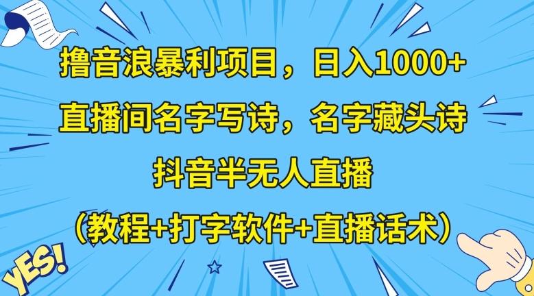 撸音浪暴利项目，日入1000+，直播间名字写诗，名字藏头诗，抖音半无人直播（教程+打字软件+直播话术）【揭秘】-鑫梵淘