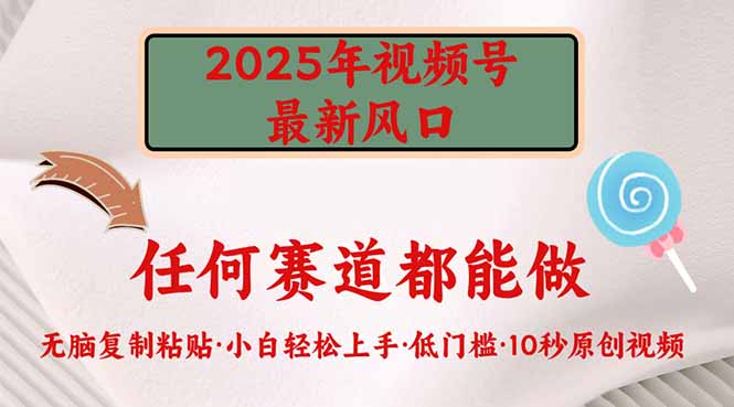2025年视频号新风口，低门槛只需要无脑执行-鑫梵淘