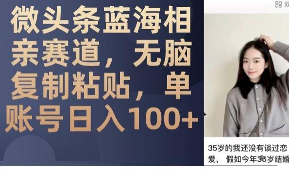 微头条蓝海相亲赛道，无脑复制粘贴，单账号日入100+-鑫梵淘