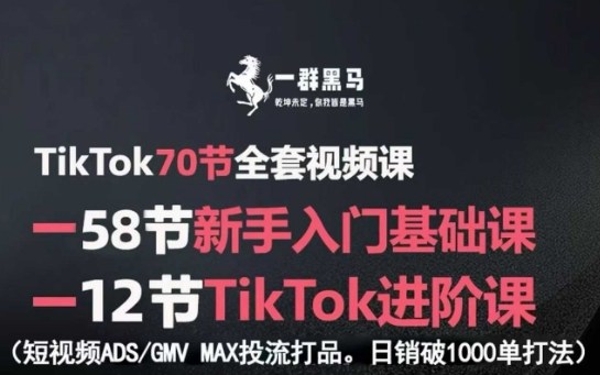 TikTok全套视频课，新手入门+进阶课，短视频ADS-GMV MAX投流打品，日销破1000单打法-鑫梵淘