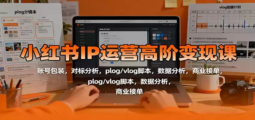 小红书IP运营高阶变现课：账号包装，对标分析，plog/vlog脚本，数据分析，商业接单-鑫梵淘