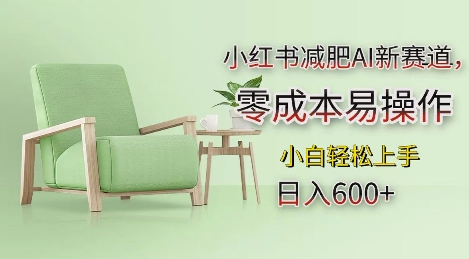 小红书减肥AI新赛道，零成本易操作，日入多张，小白轻松上手【揭秘】-鑫梵淘