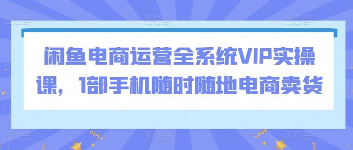 闲鱼电商运营全系统VIP实操课，1部手机随时随地电商卖货-鑫梵淘
