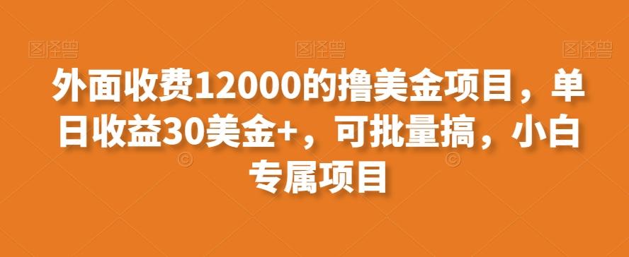 外面收费12000的撸美金项目，单日收益30美金+，可批量搞，小白专属项目-鑫梵淘