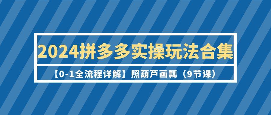 (9559期)2024拼多多实操玩法合集【0-1全流程详解】照葫芦画瓢(9节课)-鑫梵淘