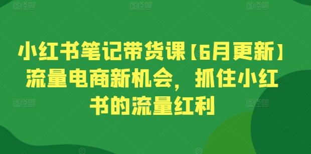 小红书笔记带货课【6月更新】流量电商新机会，抓住小红书的流量红利-鑫梵淘