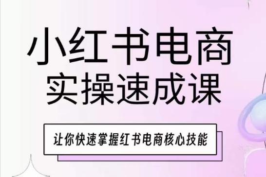 小红书电商实操速成课，让你快速掌握红书电商核心技能-鑫梵淘
