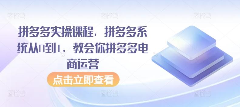 拼多多实操课程，拼多多系统从0到1，教会你拼多多电商运营-鑫梵淘