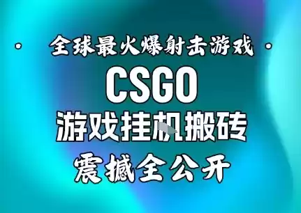 【年底大揭秘】基于全球最火爆的射击CSGO游戏挂G搬砖，日入5张+，震撼公开-鑫梵淘