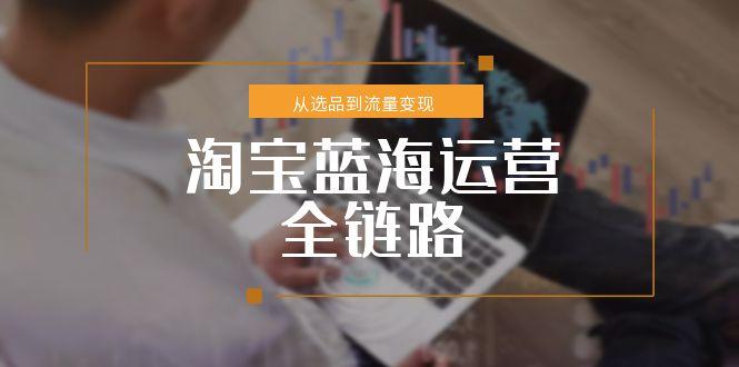 淘宝蓝海运营全链路，从选品到流量变现，小类目突围完整方案-鑫梵淘