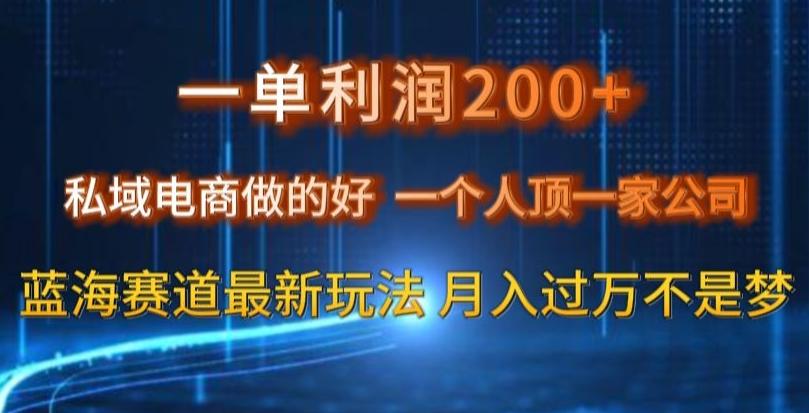 一单利润200私域电商做的好，一个人顶一家公司蓝海赛道最新玩法【揭秘】-鑫梵淘