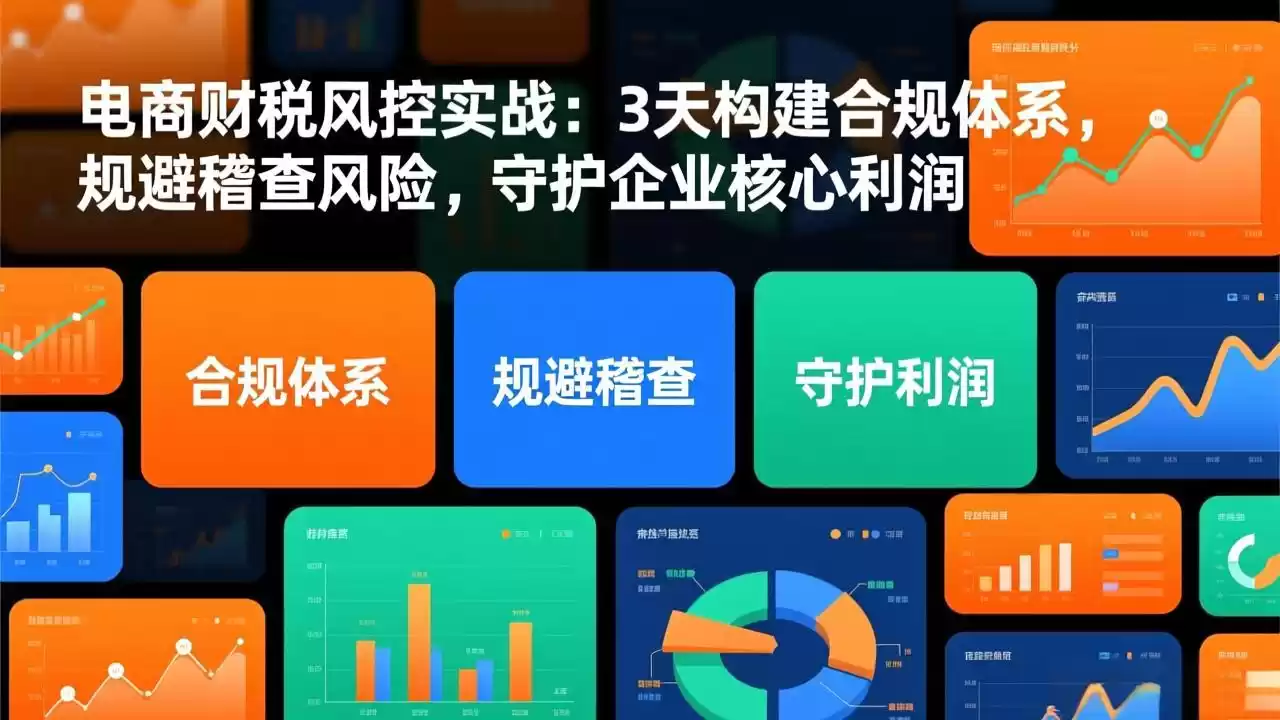 电商财税风控实战：3天构建合规体系，规避稽查风险，守护企业核心利润-鑫梵淘