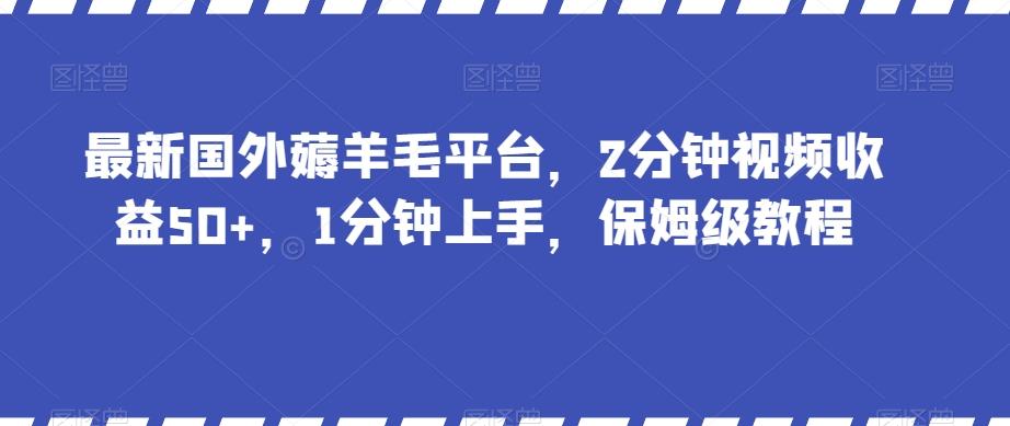 最新国外薅羊毛平台，2分钟视频收益50+，1分钟上手，保姆级教程【揭秘】-鑫梵淘