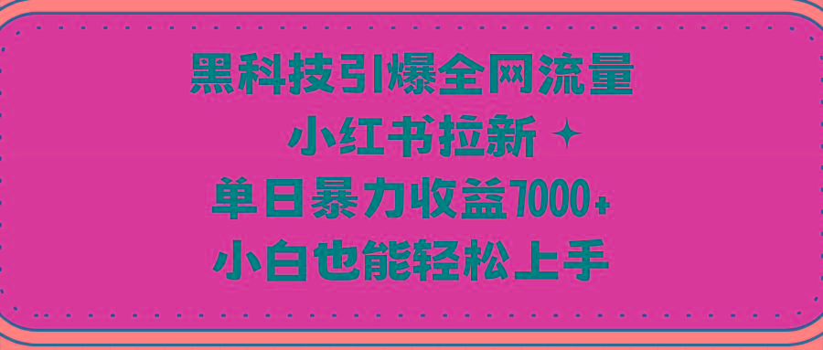 (9679期)黑科技引爆全网流量小红书拉新，单日暴力收益7000+，小白也能轻松上手-鑫梵淘