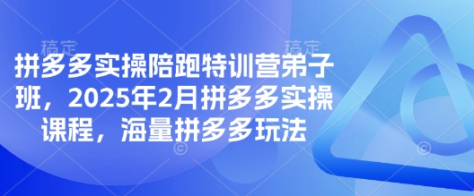 拼多多实操陪跑特训营弟子班，2025年2月拼多多实操课程，海量拼多多玩法-鑫梵淘