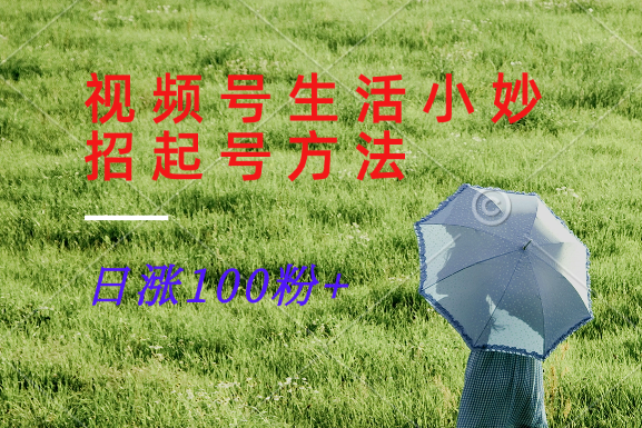 视频号生活小妙招分享赛道， 起号涨粉新方法，日涨100粉-鑫梵淘
