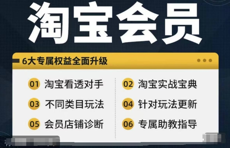 淘宝会员【淘宝所有课程，全面分析对手】，初级到高手全系实战宝典-鑫梵淘
