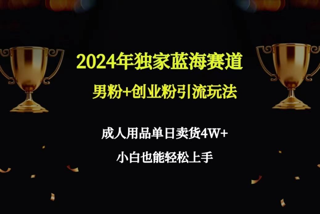 2024年独家蓝海赛道男粉+创业粉引流玩法，成人用品单日卖货4W+保姆教程-鑫梵淘