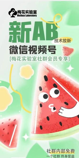 梅花实验室2024年AB技术视频号AB合成破解版-鑫梵淘
