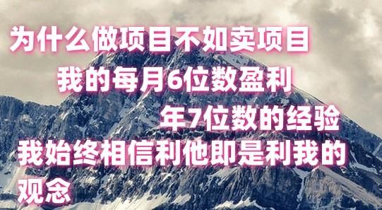 做项目不如卖项目，每月6位数盈利，年7位数经验-鑫梵淘