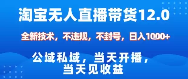 淘宝无人直播12.0，公域私域技术，不封号，不违规布局双十一流量风口，日入1k(独家技术)【揭秘】-鑫梵淘