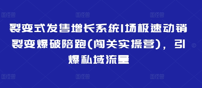 裂变式发售增长系统1场极速动销裂变爆破陪跑(闯关实操营)，引爆私域流量-鑫梵淘
