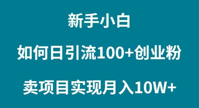 (9556期)新手小白如何通过卖项目实现月入10W+-鑫梵淘