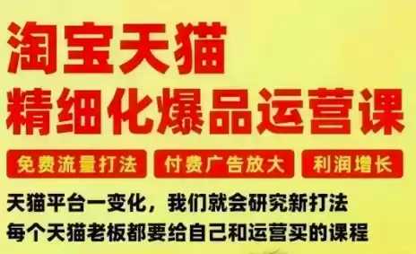 淘宝天猫精细化爆品运营课，免费流量打法-付费广告放大-利润增长-三大核心痛点，一次全部解决-鑫梵淘