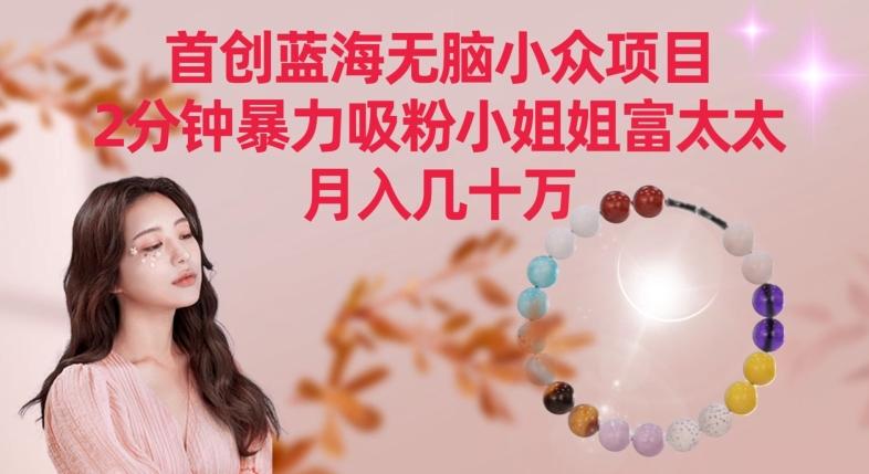 首创蓝海无脑小众项目，2分钟暴力吸粉小姐姐富太太，月入几十万【揭秘】-鑫梵淘
