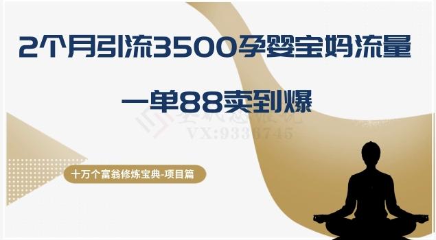 十万个富翁修炼宝典之13.2个月引流3500孕婴宝妈流量，一单88卖到爆-鑫梵淘